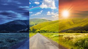 Wax Melts for the season